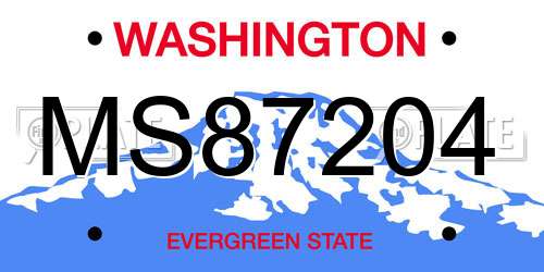 MS87204 Washington License Plate