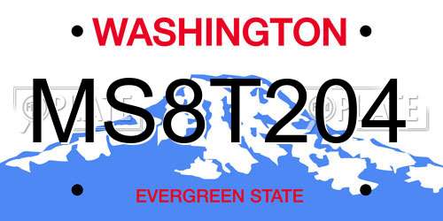 MS8T204 Washington License Plate