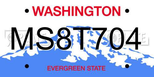 MS8T704 Washington License Plate