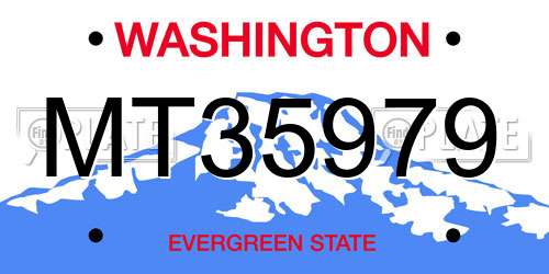 MT35979 Washington License Plate