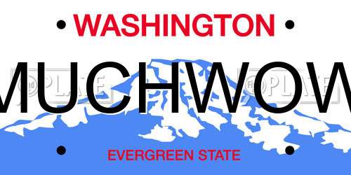 MUCHWOW Washington License Plate