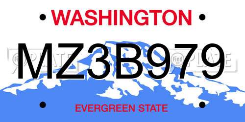 MZ3B979 Washington License Plate
