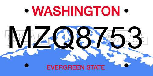 MZQ8753 Washington License Plate