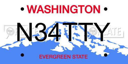 N34TTY Washington License Plate