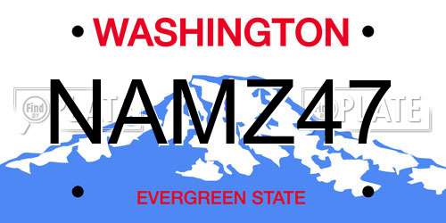 NAMZ47 Washington License Plate