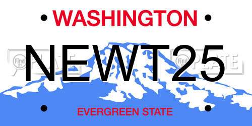 NEWT25 Washington License Plate