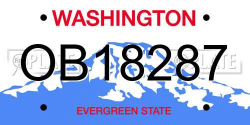 OB18287 Washington License Plate