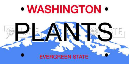 PLANTS Washington License Plate