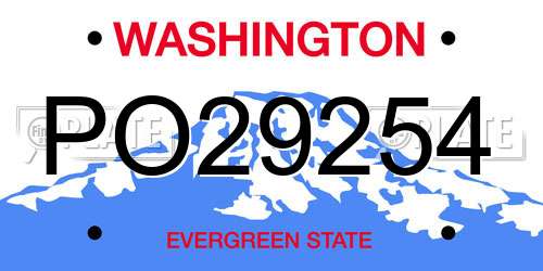 PO29254 Washington License Plate