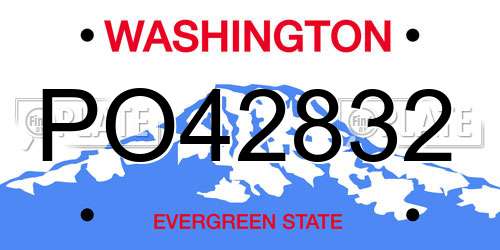 PO42832 Washington License Plate