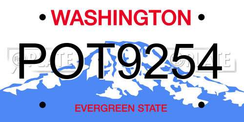 POT9254 Washington License Plate