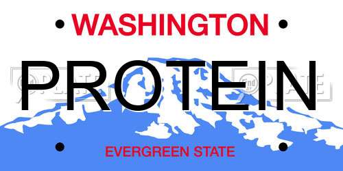 PROTEIN Washington License Plate