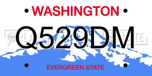 Q529DM Washington License Plate