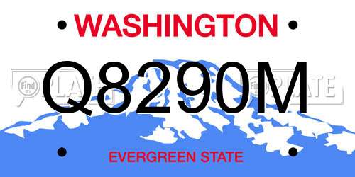 Q8290M Washington License Plate