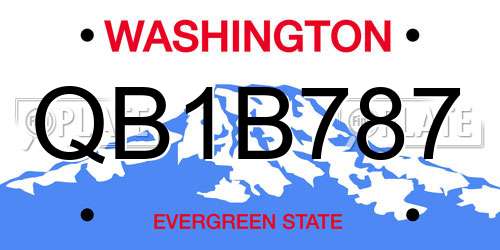 QB1B787 Washington License Plate