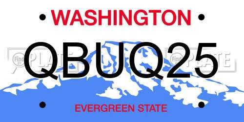 QBUQ25 Washington License Plate