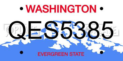 QES5385 Washington License Plate