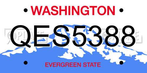QES5388 Washington License Plate