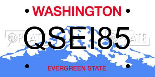 QSEI85 Washington License Plate