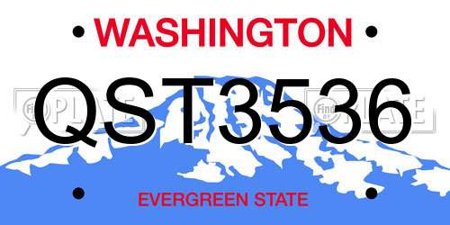 QST3536 Washington License Plate