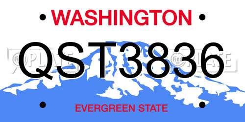 QST3836 Washington License Plate