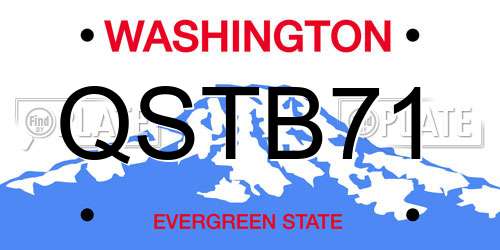 QSTB71 Washington License Plate