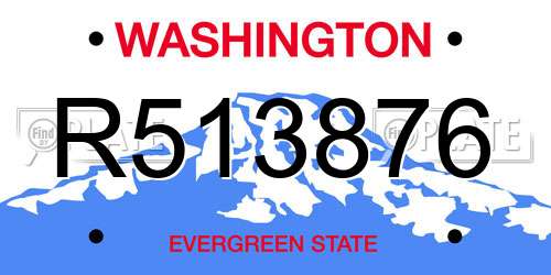 R513876 Washington License Plate