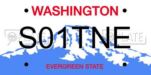 S01TNE Washington License Plate