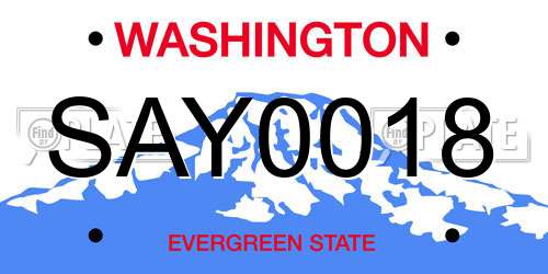 SAY0018 Washington License Plate