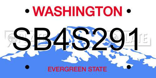 SB4S291 Washington License Plate
