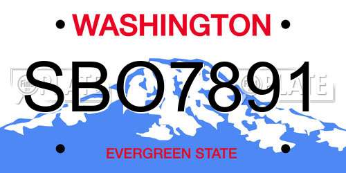 SBO7891 Washington License Plate