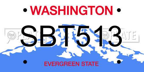 SBT513 Washington License Plate