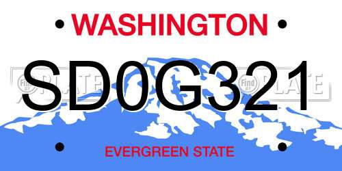 SD0G321 Washington License Plate
