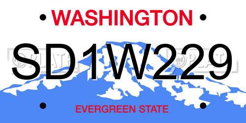 SD1W229 Washington License Plate