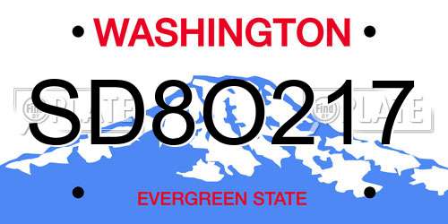SD8O217 Washington License Plate