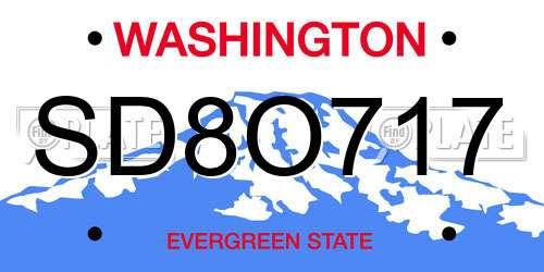 SD8O717 Washington License Plate