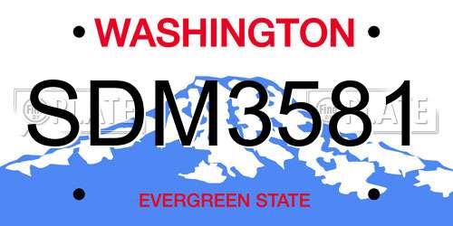 SDM3581 Washington License Plate