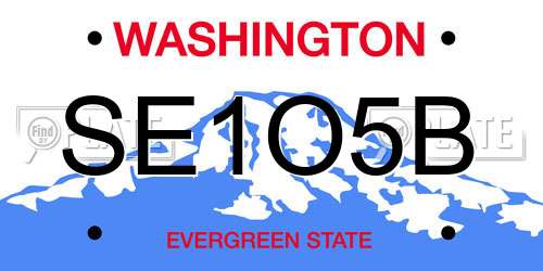 SE1O5B Washington License Plate