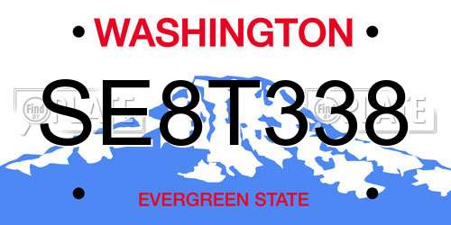 SE8T338 Washington License Plate