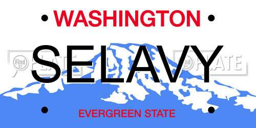 SELAVY Washington License Plate