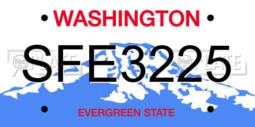 SFE3225 Washington License Plate