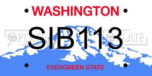 SIB113 Washington License Plate