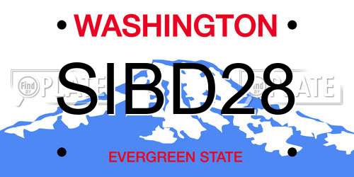 SIBD28 Washington License Plate