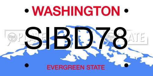 SIBD78 Washington License Plate