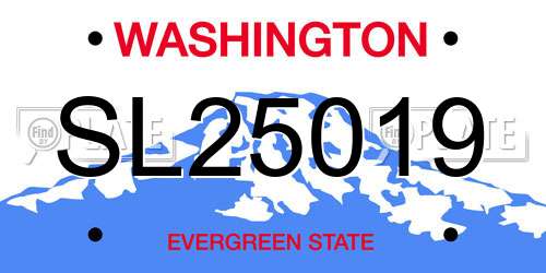 SL25019 Washington License Plate