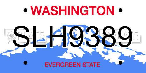 SLH9389 Washington License Plate