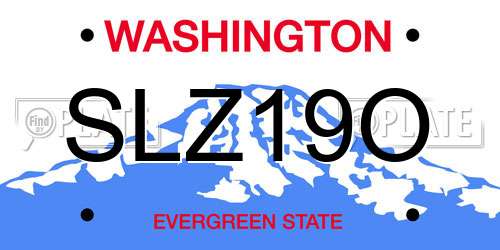 SLZ19O Washington License Plate