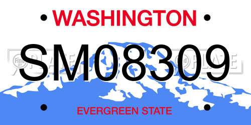 SM08309 Washington License Plate