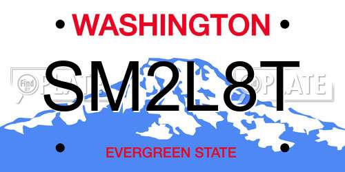 SM2L8T Washington License Plate