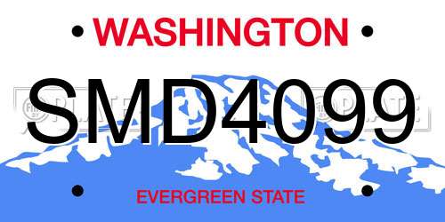 SMD4099 Washington License Plate